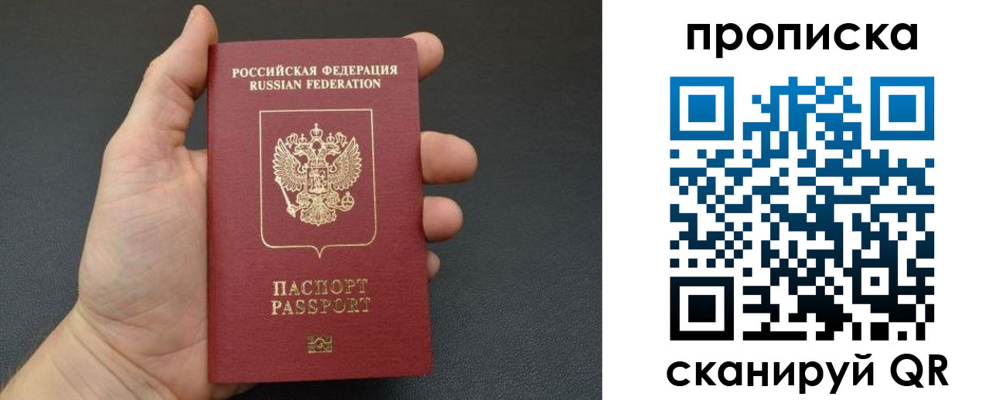 купить прописку в Щёкино